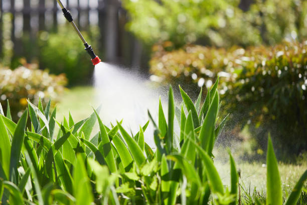 Tamper-Resistant Bait Stations for Rodents in Riverwoods