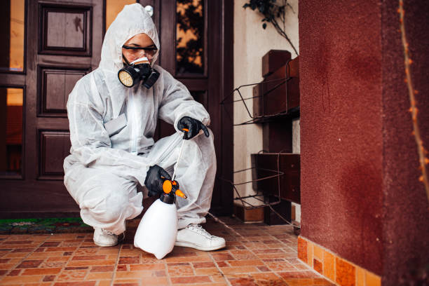 Attic and Crawl Space Rodent Treatment in Riverwoods