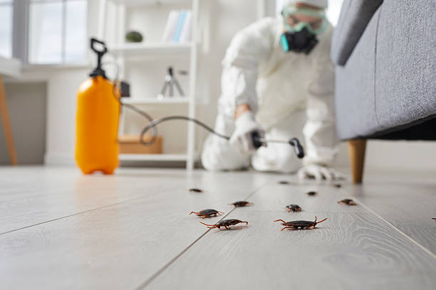 Commercial Rodent Management in Riverwoods